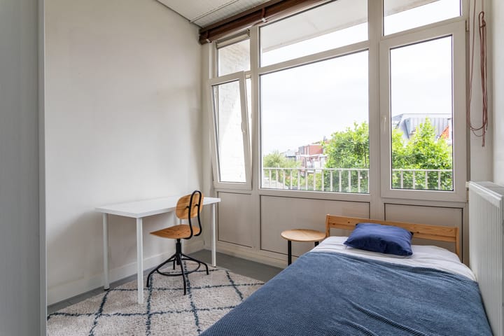 Foto 29 van Douzastraat 21