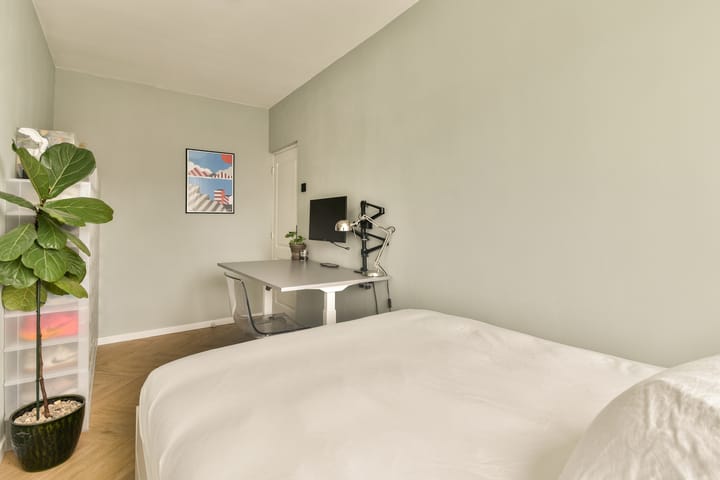 Photo 21 of Maassluisstraat 86