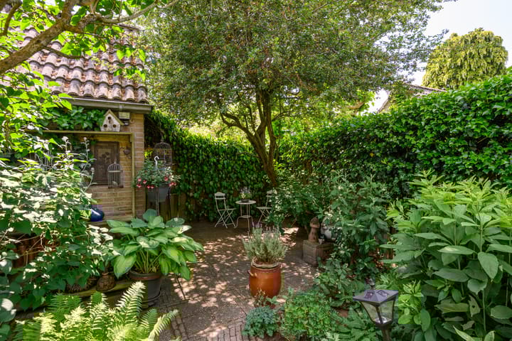 Foto 3 van Eierlanden 23