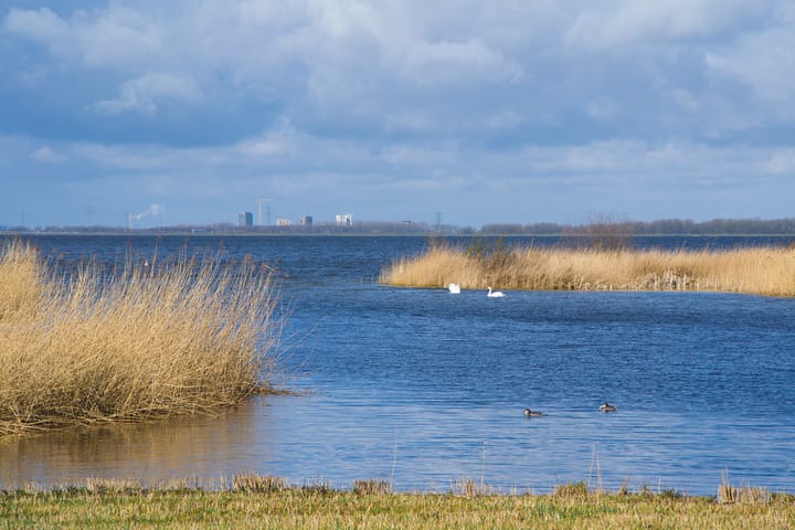 Foto 29 van Eierlanden 23