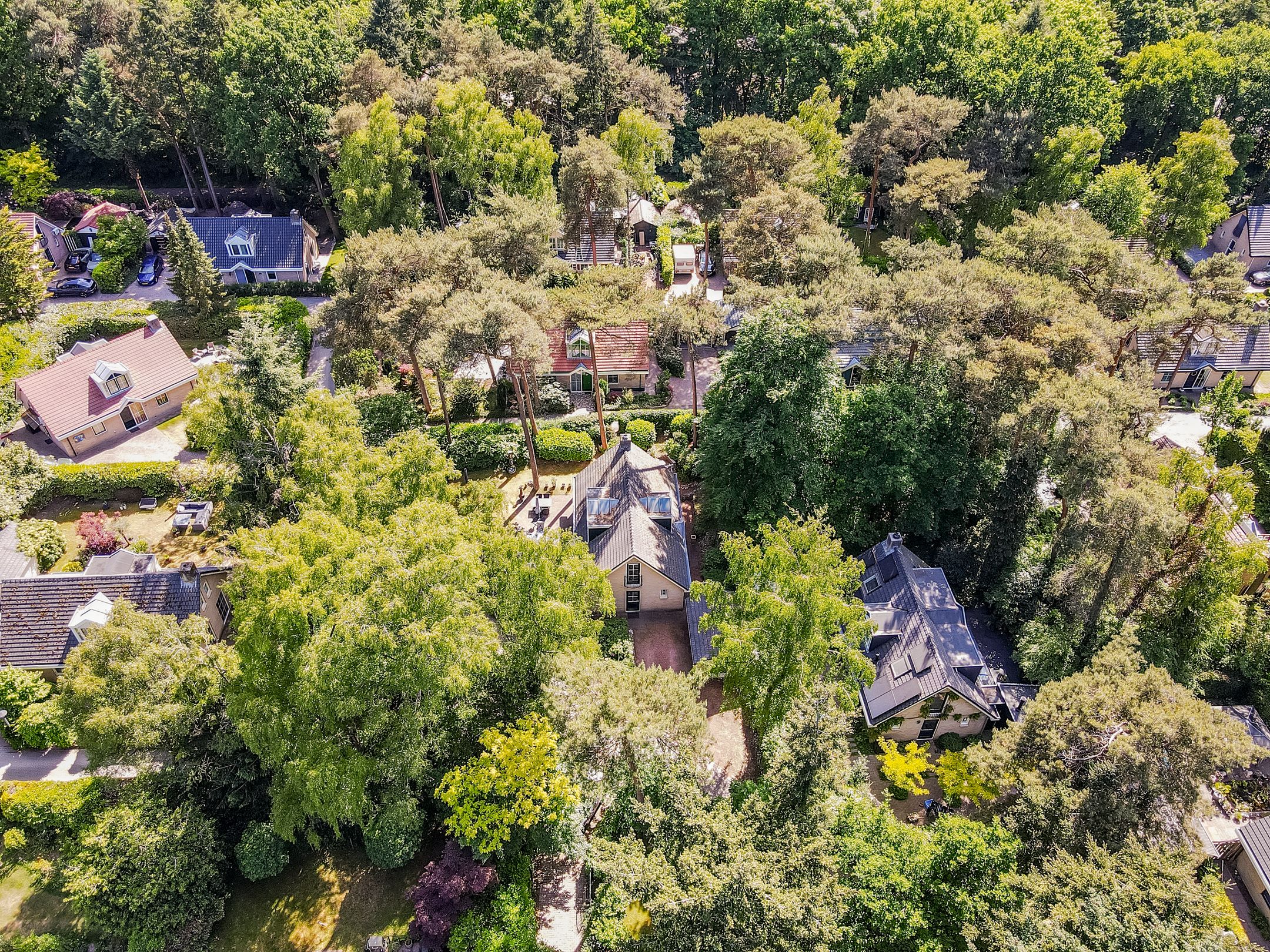 Photo 42 of Korhoenlaan 1-20