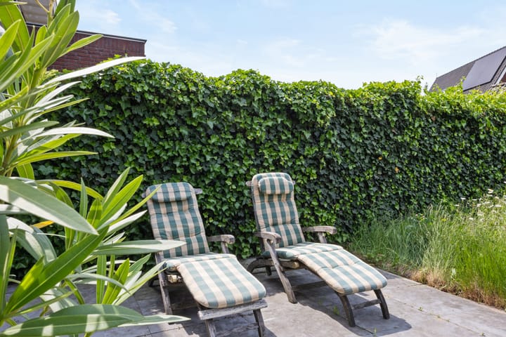 Foto 44 van Vestdijkstraat 23