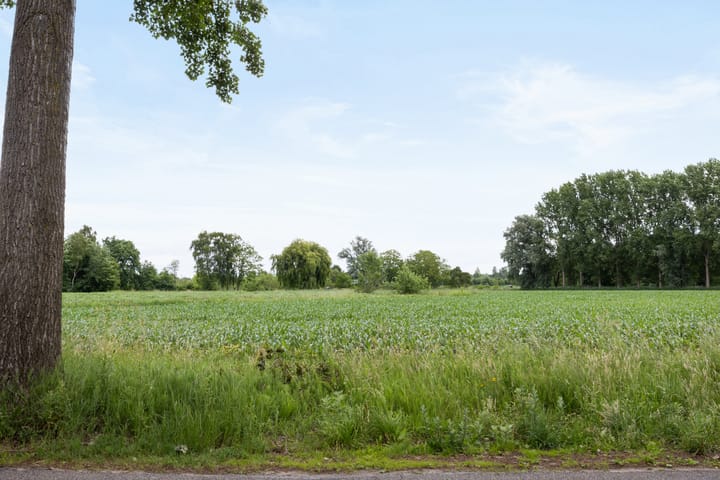 Foto 50 van Vestdijkstraat 23