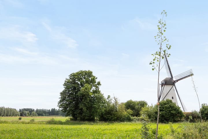 Foto 51 van Vestdijkstraat 23