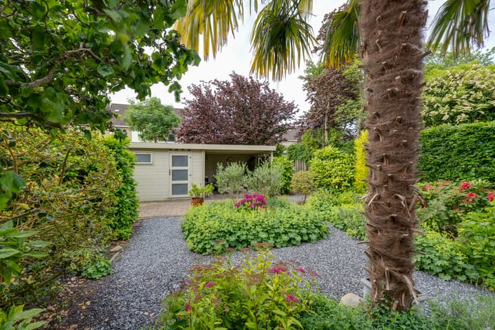 Foto 46 van Jan Dignumszstraat 33