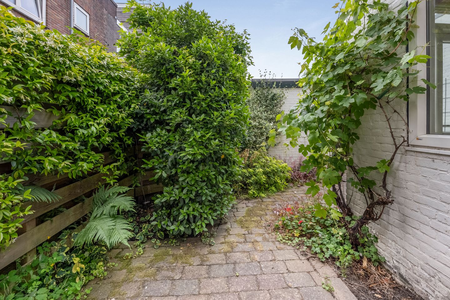 Foto 14 van Archipelstraat 22