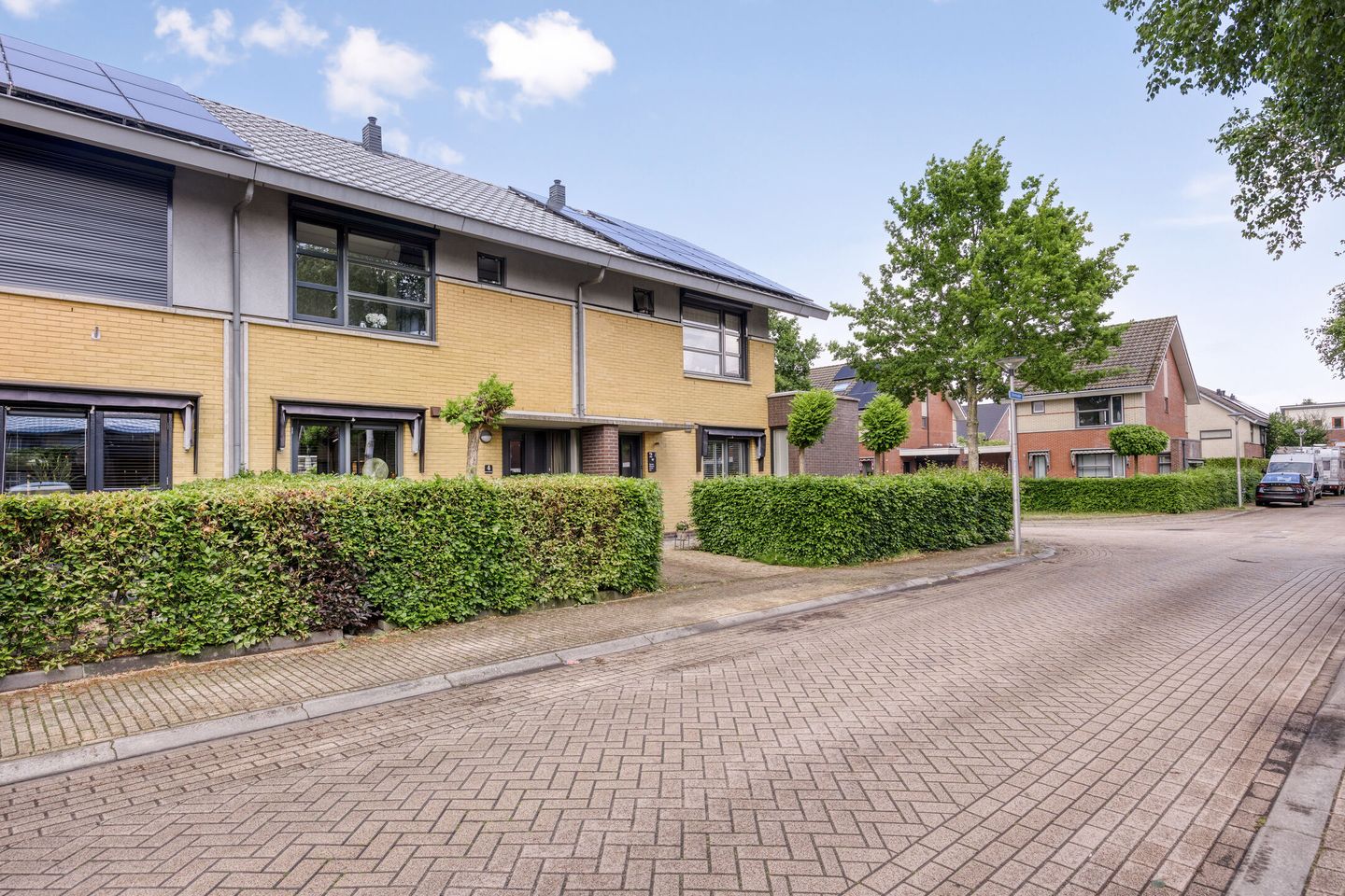 Photo 5 of Uilvlinder 4