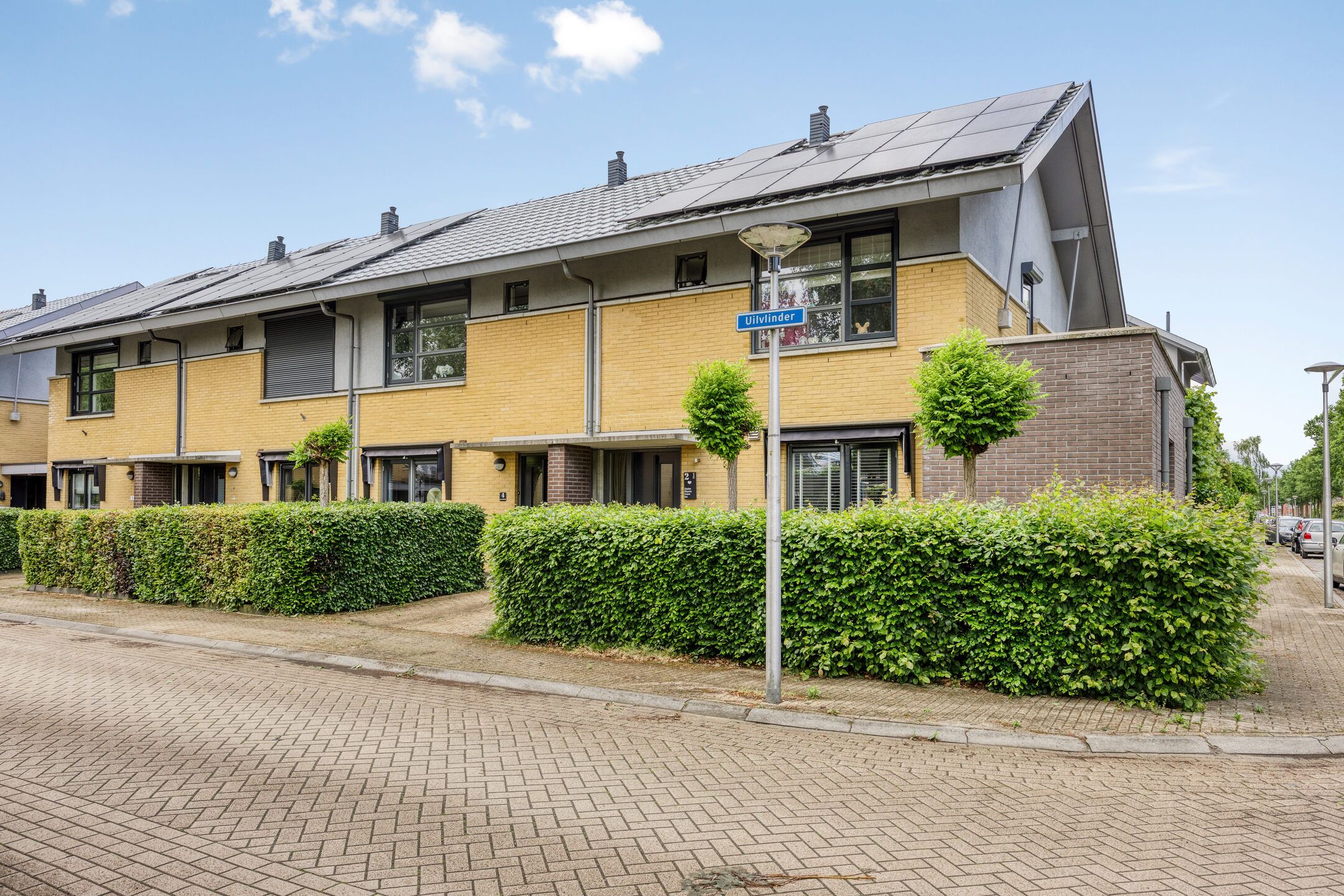 Photo 6 of Uilvlinder 4