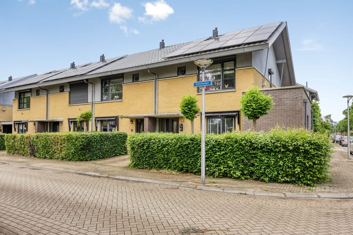 Foto 6 van Uilvlinder 4