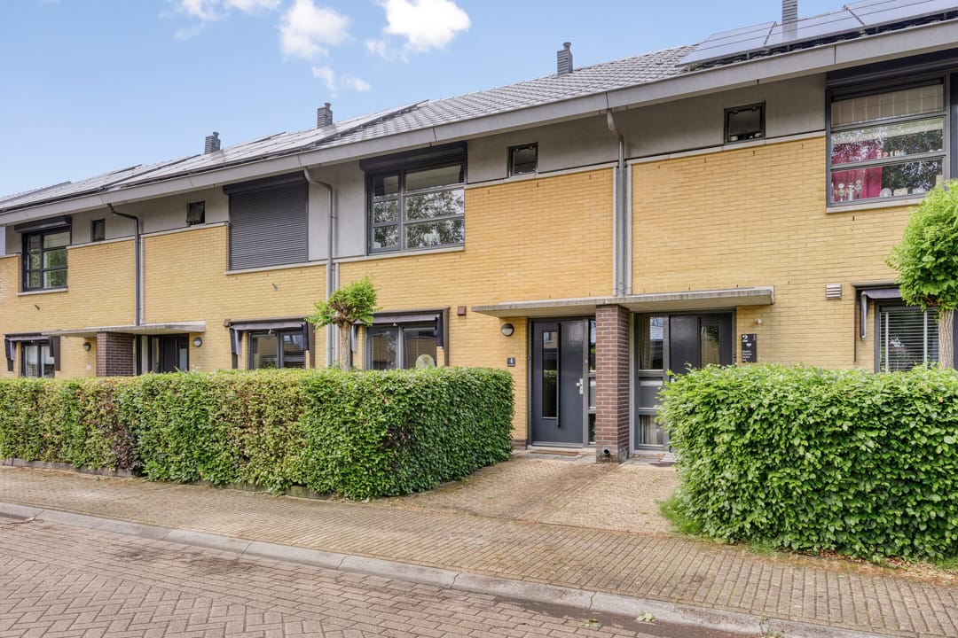 Photo 7 of Uilvlinder 4