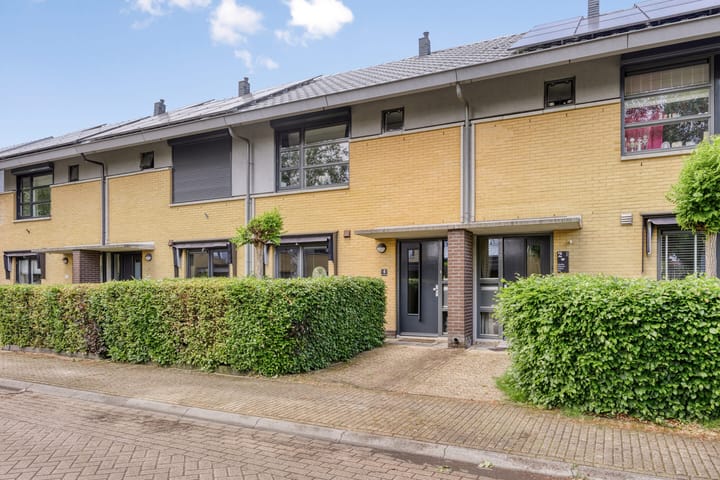 Foto 7 van Uilvlinder 4