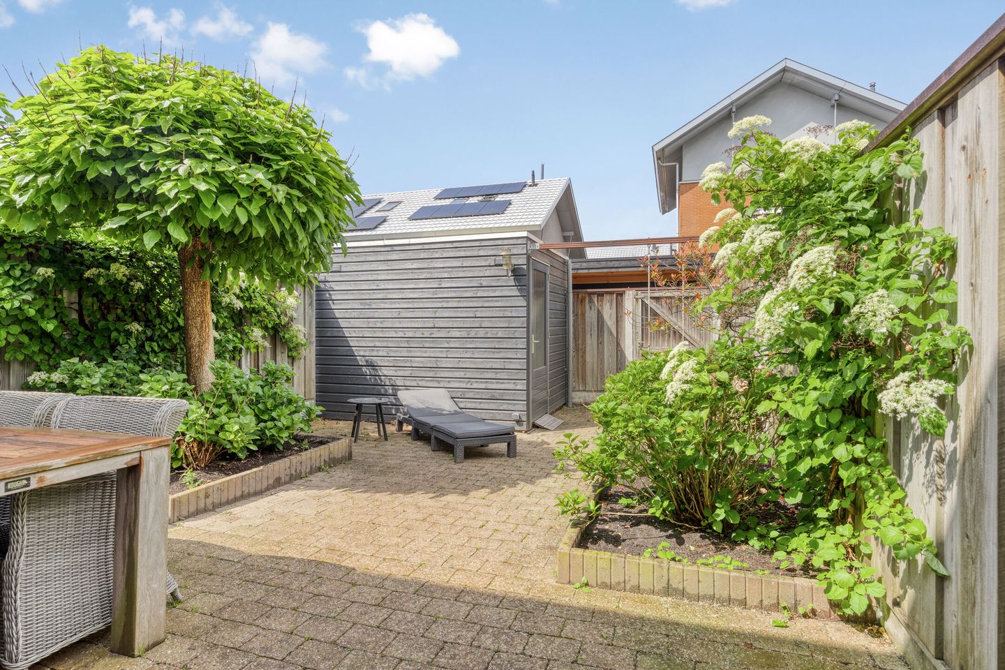 Photo 35 of Uilvlinder 4