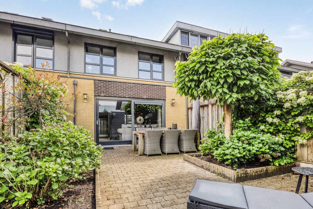 Photo 37 of Uilvlinder 4