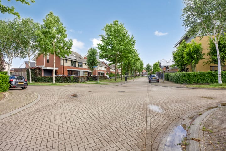 Foto 39 van Uilvlinder 4