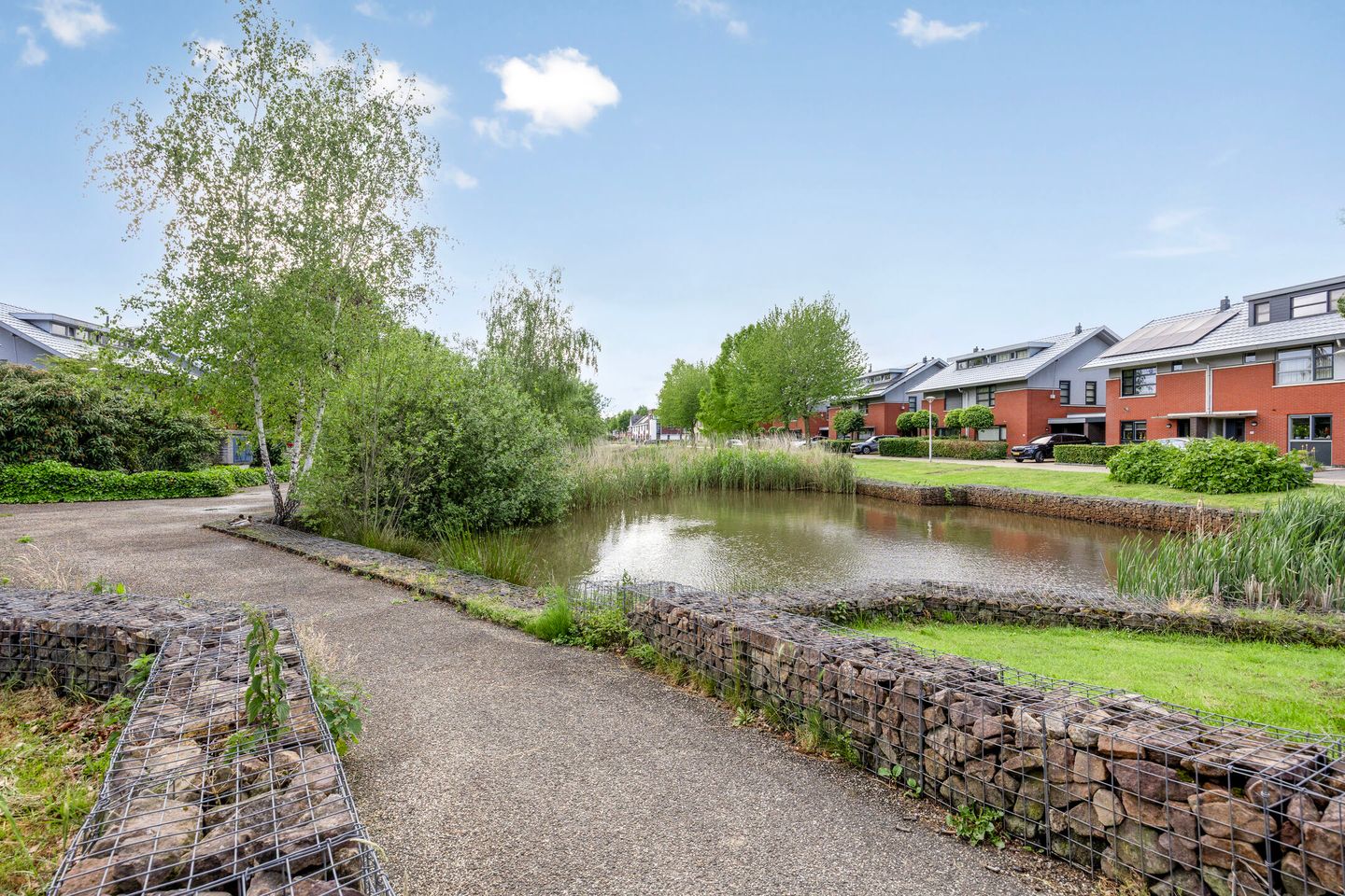 Photo 40 of Uilvlinder 4