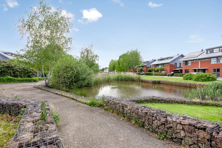 Foto 40 van Uilvlinder 4