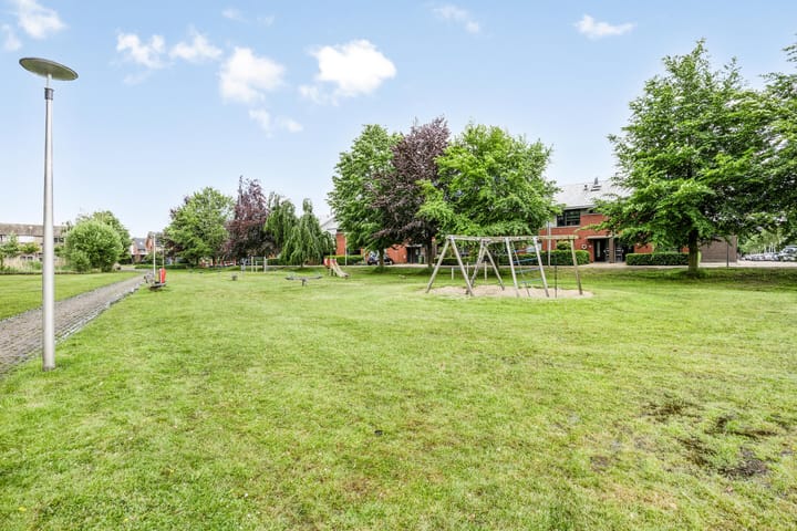 Foto 41 van Uilvlinder 4