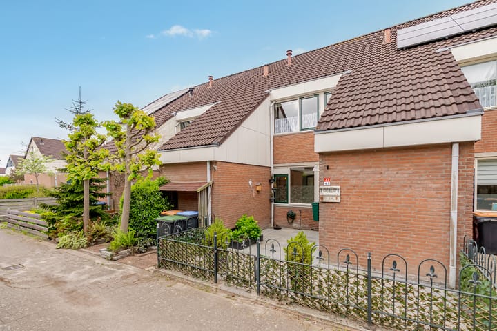 Foto 2 van Punter 33 41