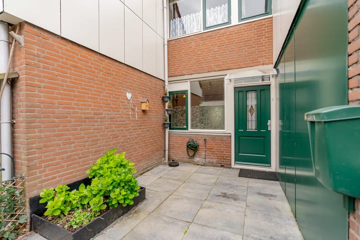 Foto 3 van Punter 33 41