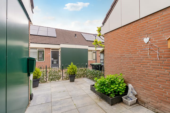 Foto 4 van Punter 33 41