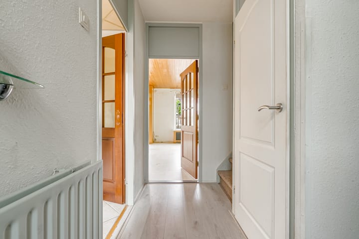 Foto 6 van Punter 33 41