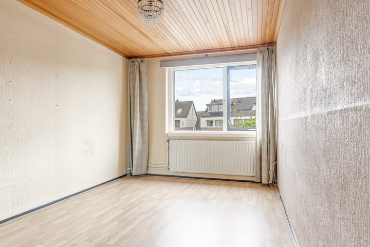 Foto 20 van Punter 33 41