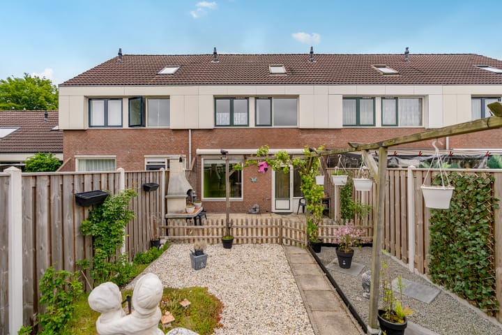 Foto 29 van Punter 33 41