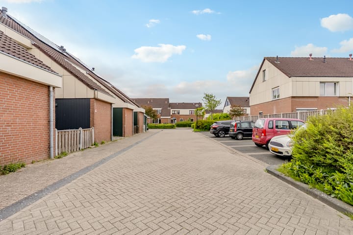 Foto 31 van Punter 33 41