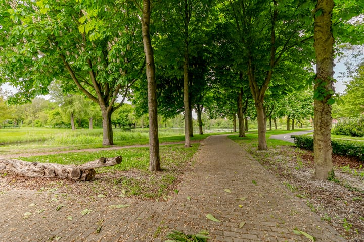 Foto 32 van Punter 33 41