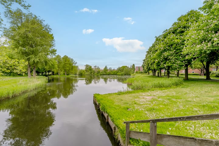 Foto 33 van Punter 33 41