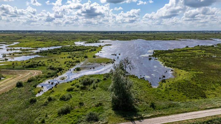 Foto 78 van Garmpoleiland 8