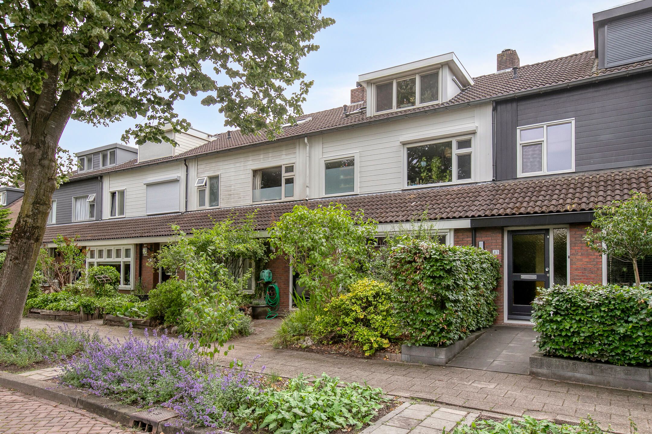 Foto 3 van Lindeboom 45