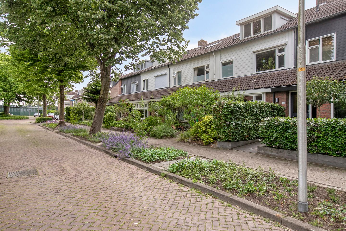 Foto 4 van Lindeboom 45