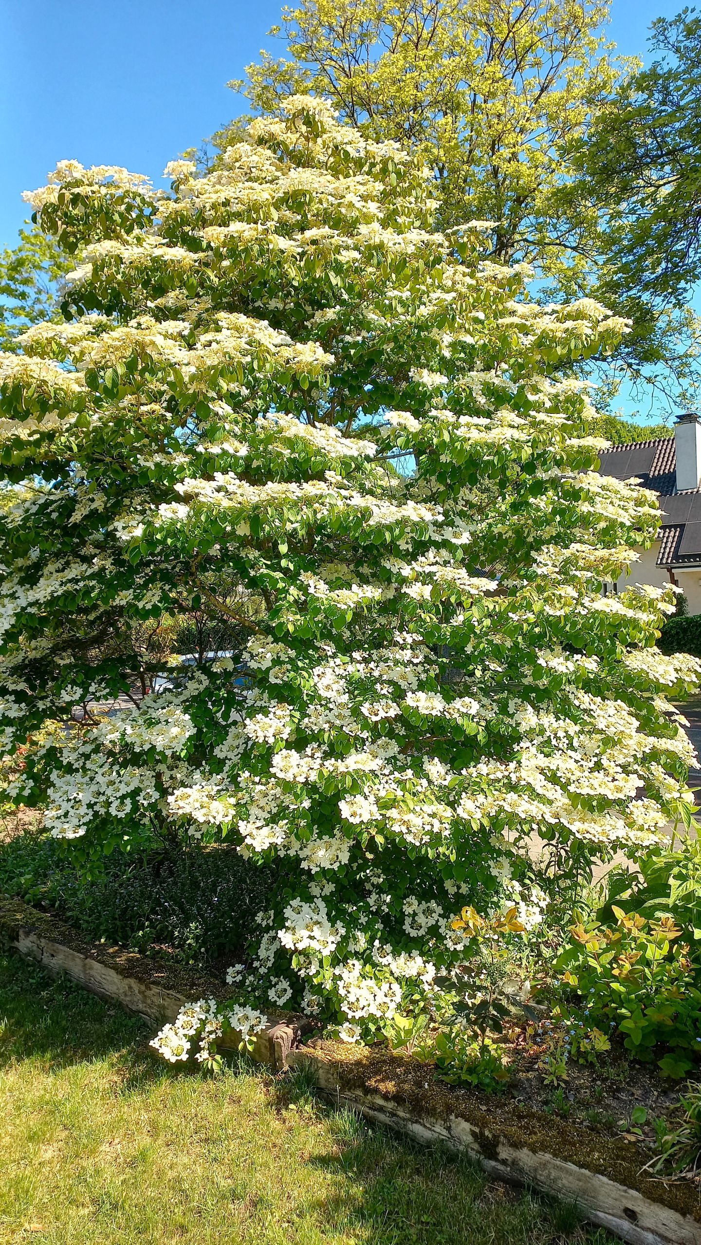 Foto 19 van Prins Hendriklaan 3