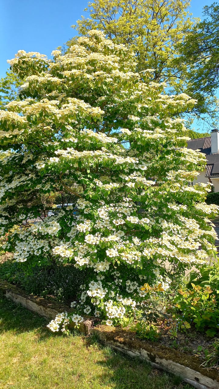 Foto 19 van Prins Hendriklaan 3