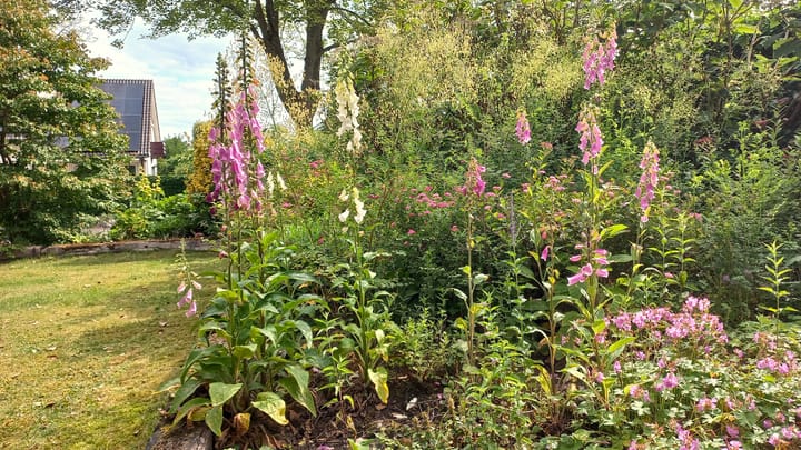 Foto 18 van Prins Hendriklaan 3