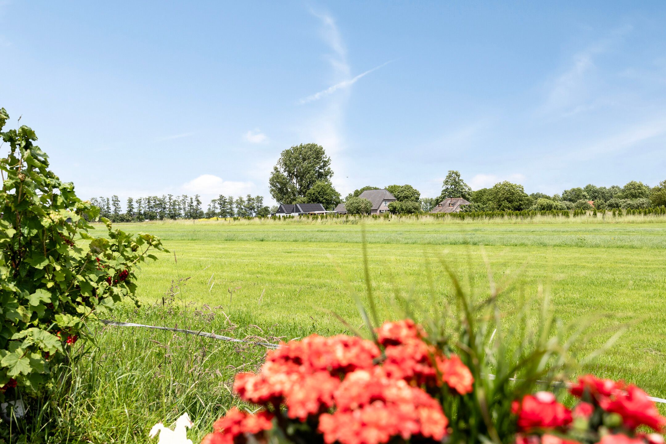 Foto 54 van Klaproosakker 32