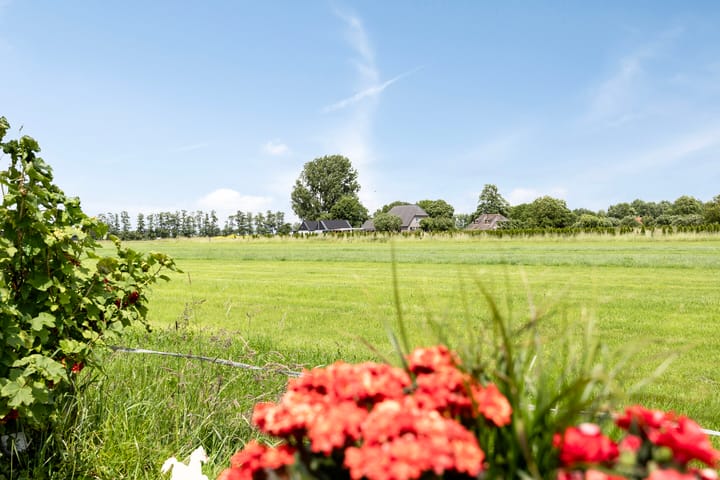 Foto 54 van Klaproosakker 32