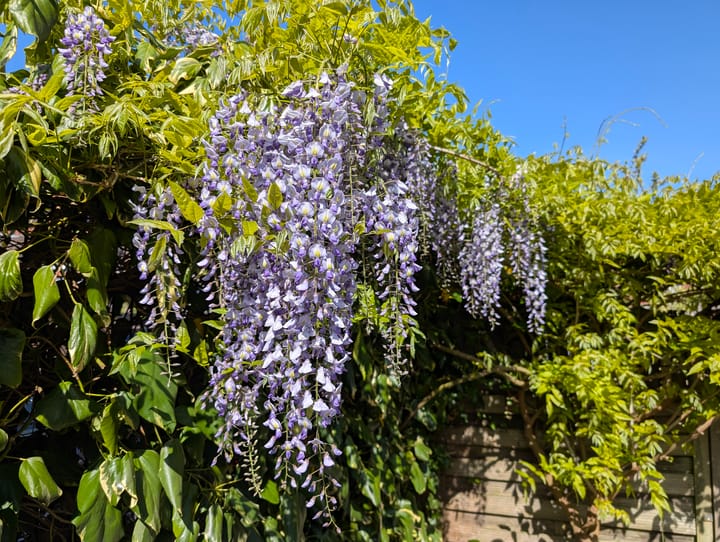 Foto 27 van Schouwmeester 90