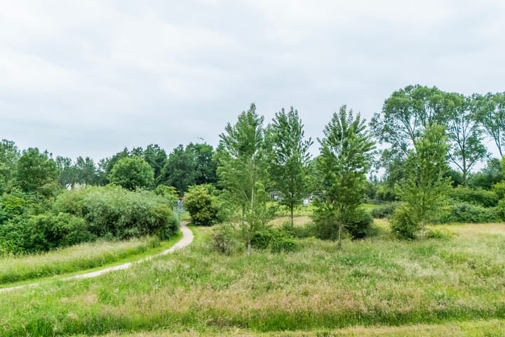 Foto 39 van Boekweitdreef 165