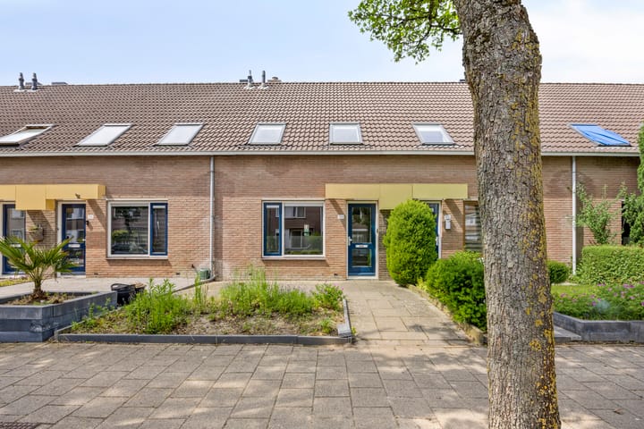 undefined main image