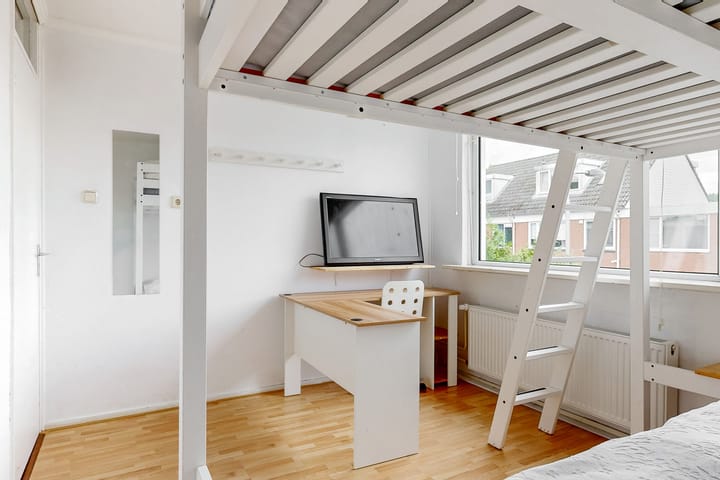 Foto 17 van Smetanastraat 22