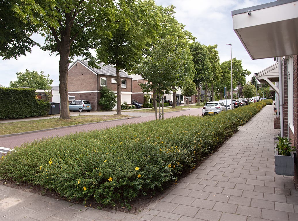 Foto 34 van Withofstraat 29