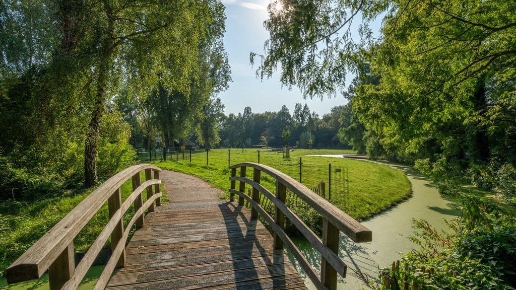 Photo 57 of Apollotoren 136