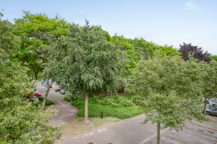 Foto 23 van Triangelstraat 102