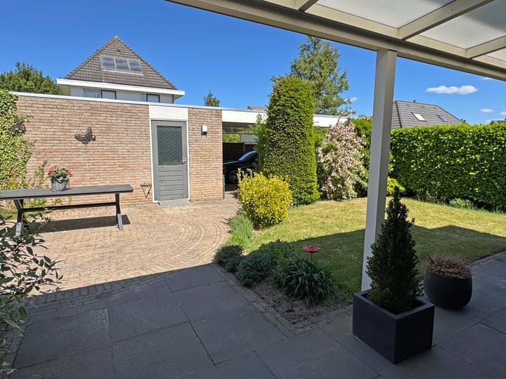 Foto 15 van Vuurdoorn 19