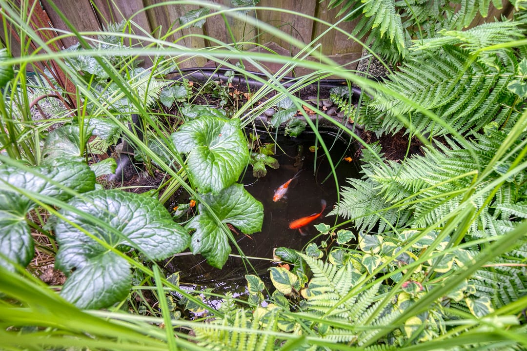 Foto 31 van Triangelstraat 102