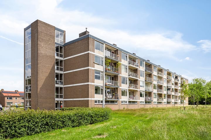 Foto 29 van Bowierstraat 55