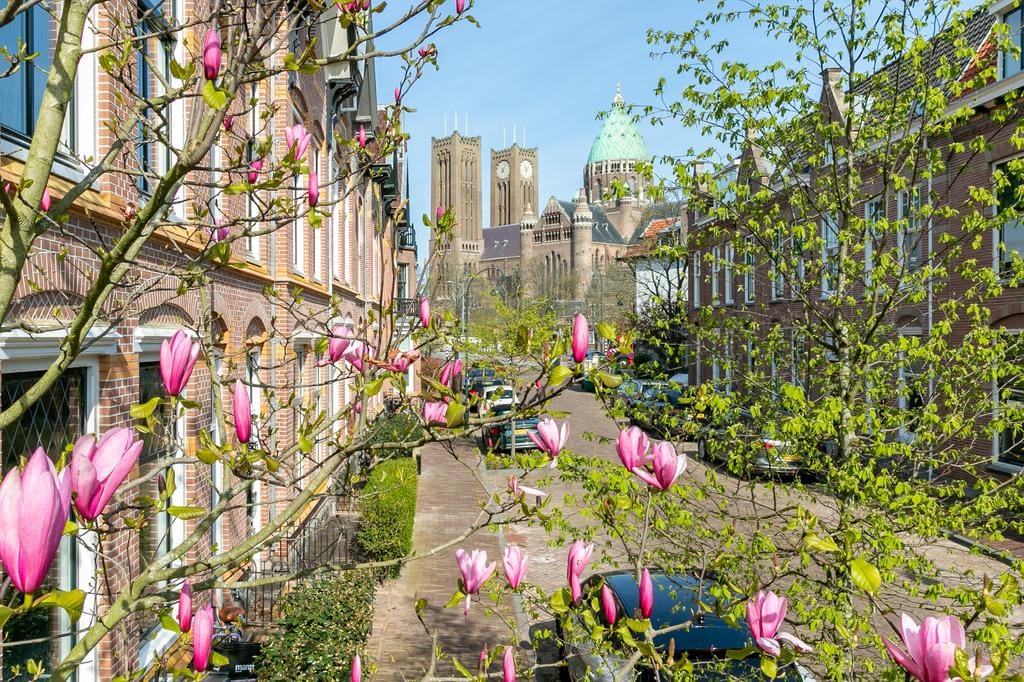 Foto 49 van Koninginneweg 68