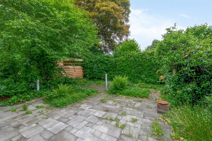 Foto 39 van Boeslaan 55